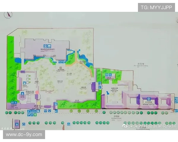 围绕稻城足球场位置探寻周边人文与自然魅力主题体验风光之旅程纪行